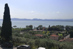 IMG_20230526_105205